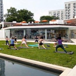people doing yoga in a courtyard